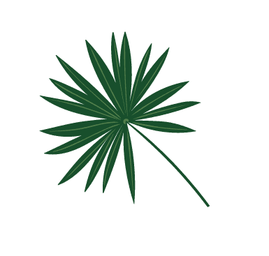 leaft
